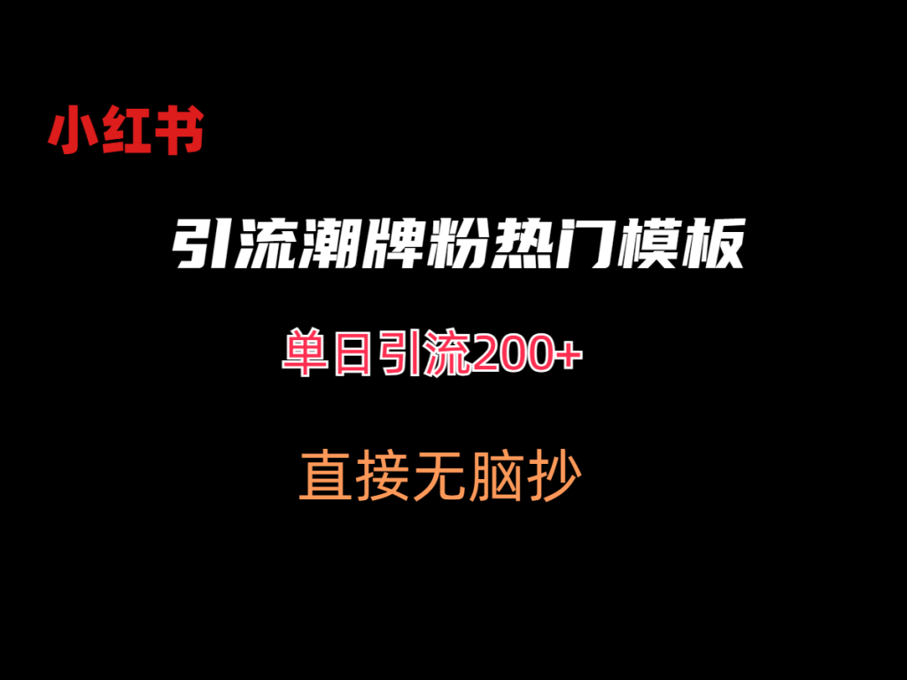 最新小红书无脑套模板单日引流200+-三亿网